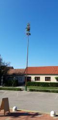 foto_maj